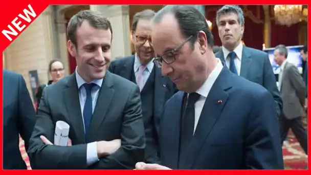 ✅  François Hollande revanchard ? Sa pique blessante pour Emmanuel Macron