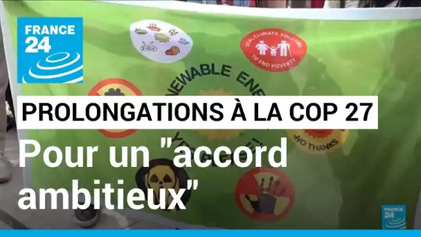 Prolongations à la COP 27 : António Guterres, à la tête de l'ONU, espère un "accord ambitieux"