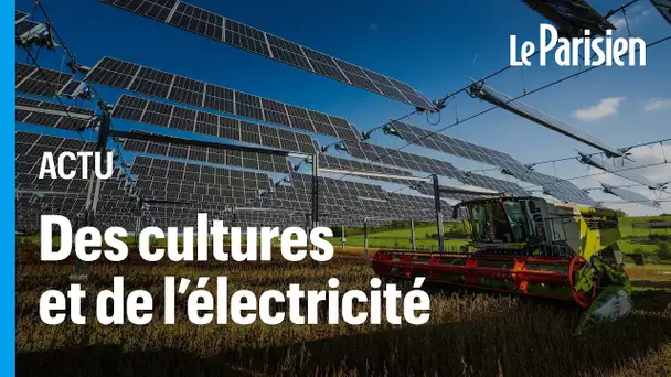 L’Agrivoltaïque, ou comment produire de l’électricité en protégeant ses cultures