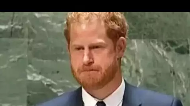 Assez vulnérable à ce sujet" Le prince Harry expose la faiblesse de l'image publique des Sussex