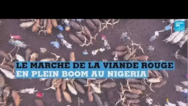 Le marché de la viande rouge en plein expansion au Nigeria