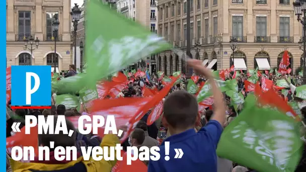 Les anti-PMA de retour dans la rue contre la «PMA sans père»