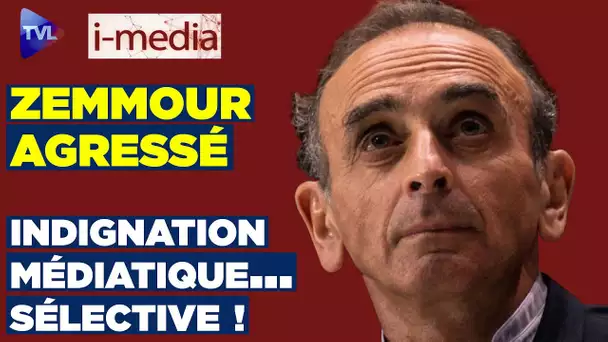 [Sommaire] I-Média n°297 - Zemmour agressé : indignation médiatique...sélective !