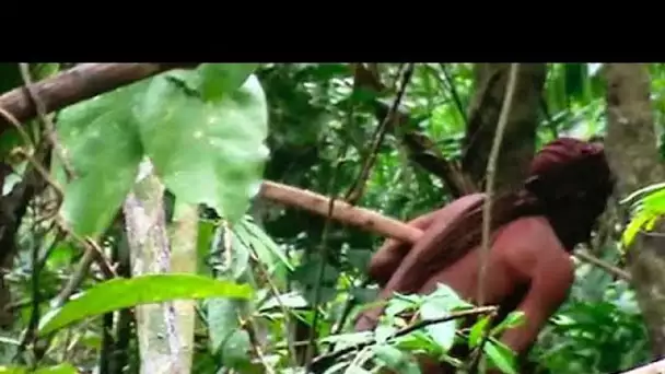 Amazonie : l'"Homme au trou", le survivant d'une tribu indigène décimée est mort de cause na…