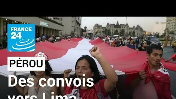 Pérou : des milliers de manifestants convergent vers Lima malgré l'état d'urgence • FRANCE 24