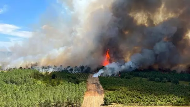 Incendie en Gironde : «Ce feu est incontrôlable», déplore Jean-Marc Pelletant, le maire de Landiras