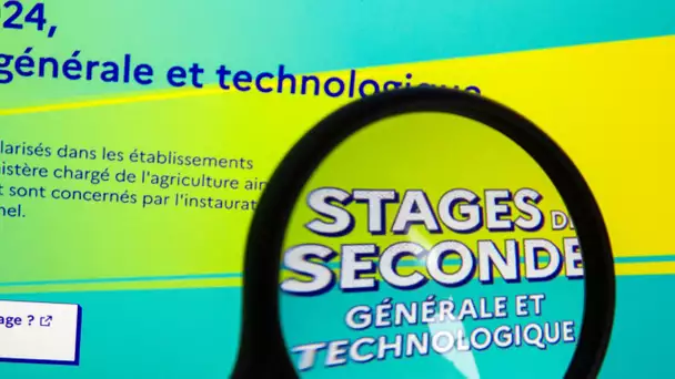 «C'est un échec» : de nombreux élèves de seconde n'ont toujours pas trouvé leur stage obligatoire