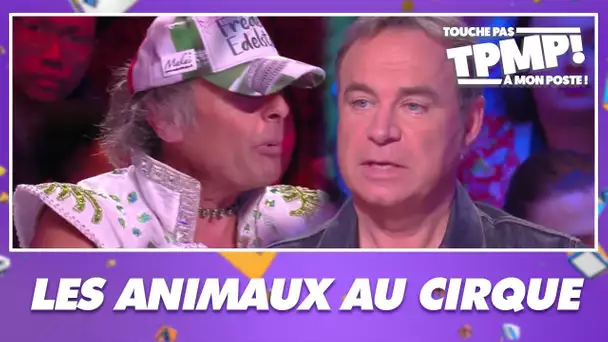 Faut-il interdire les animaux dans les cirques ? Le débat TPMP