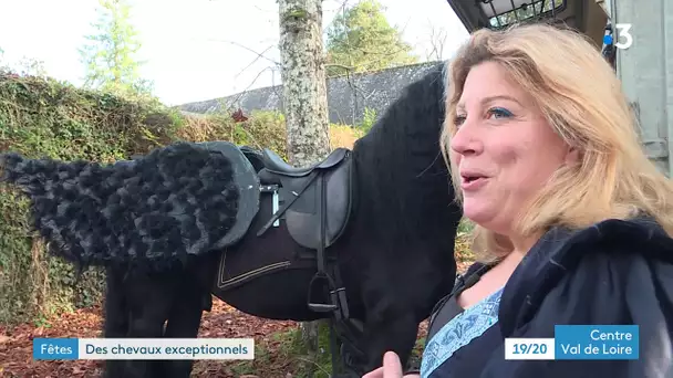 Chenonceau : des chevaux sortis d'un bestiaire médiéval au château