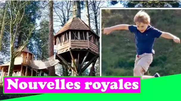 La cabane dans les arbres de Prince George est une source d'inspiration pour un parc de jeux magique