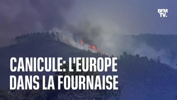 Canicule: l'Europe dans la fournaise