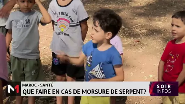 Que faire en cas de morsure de serpent ?