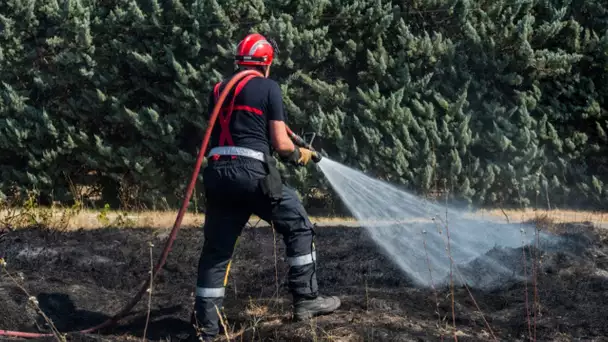 Var : avec l'alerte rouge aux feux de forêt, les pompiers se préparent