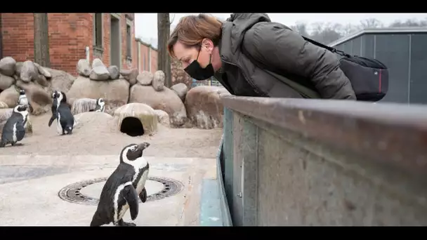 «C'est fascinant» : Sibylle Grimbert rafle le prix «30 millions d'amis», le Goncourt des animaux