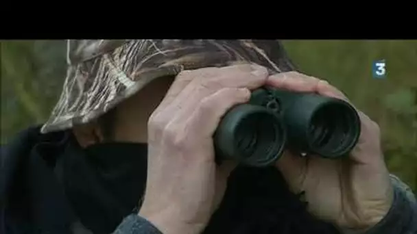 La problèmatique du cerf en forêt de Chaux. Reportage d'Emmanuel Rivallain et Jean-Stéphane Maurice