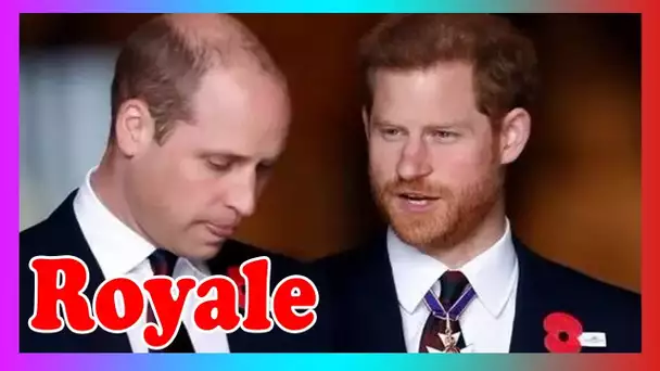 'William a priorité!' Harry frustré alors que st@tut de 'superstar' alimente la dispute fraternelle