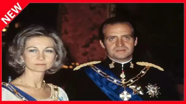 ✅  La reine Sofia trompée : pourquoi elle ne divorcera jamais de Juan Carlos