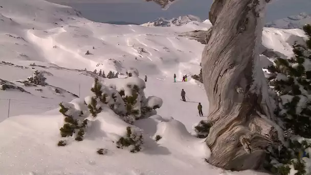 Neige : La Pierre St-Martin a le sourire pour la fin de saison