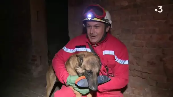 La brigade cynotechnique des pompiers de l'Oise