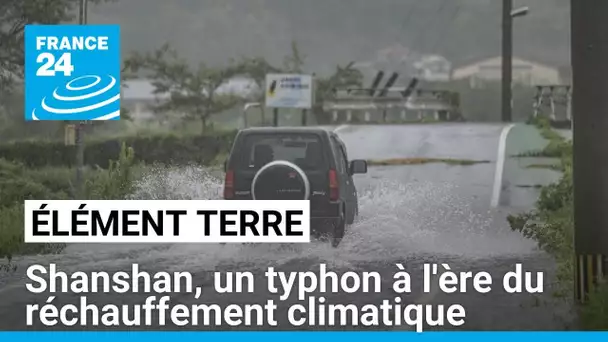 Shanshan, un typhon à l'ère du réchauffement climatique • FRANCE 24