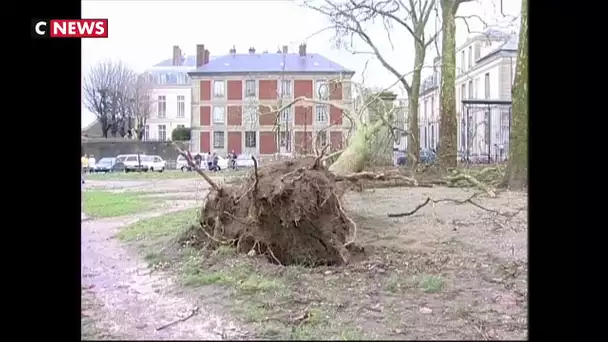 Prévisions météo : ce qui a changé depuis la tempête Lothar