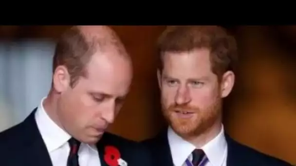 Le prince William remplacera le prince Harry pour d'importantes fonctions royales au nom de la reine