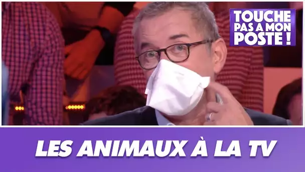 Christophe Dechavanne s'exprime sur la présence des animaux à la télévision