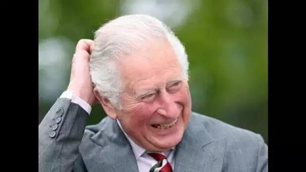 PHOTO – Le prince Charles souriant malgré la bombe lâchée par Harry : il fait...