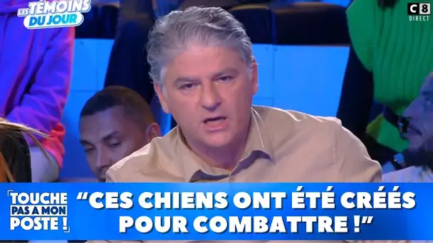 Clash : Jacques Cardoze veut euthanasier tous les chiens dangereux !