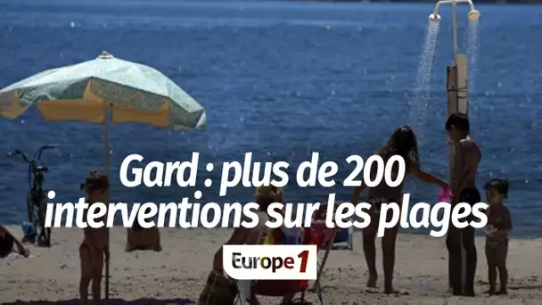 Canicule, coup de chaud et risque de noyade : déjà plus de 200 interventions sur la plage de Fréj…