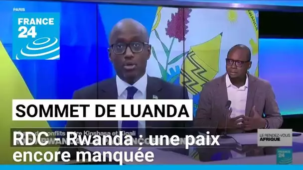 Sans le Rwanda, le sommet de Luanda échoue à relancer la paix avec la RD Congo • FRANCE 24