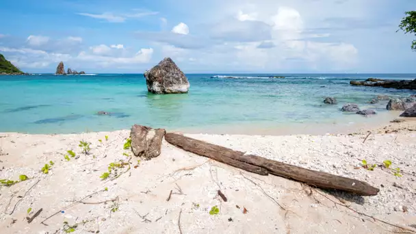 Koh-Lanta, Le Totem Maudit : Denis Brogniart lève le voile sur les nouveautés de la saison