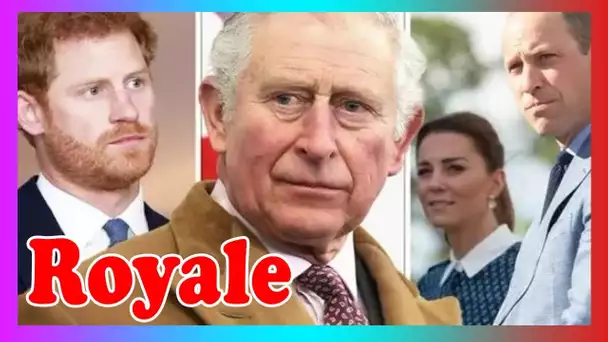 Charles suit l'exemple de Kate, William et Harry pour plaider la crise « catastrophique »