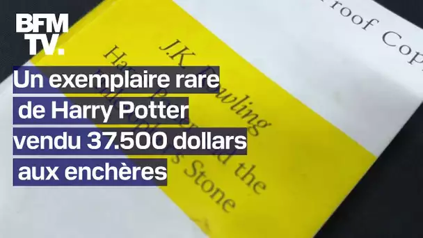 États-Unis: un exemplaire du premier tome de Harry Potter non corrigé vendu 37.500 dollars