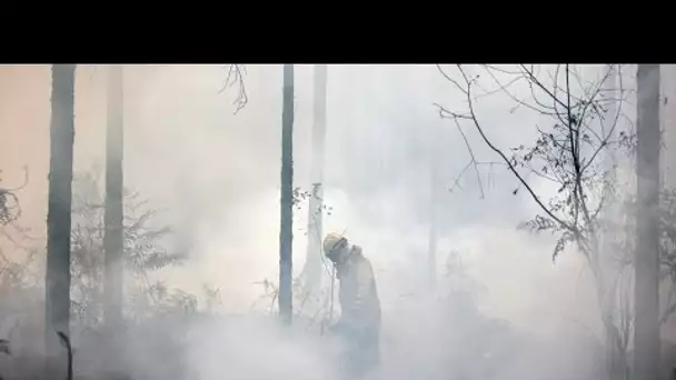 En France, la pluie apporte un léger répit sur le front des incendies • FRANCE 24