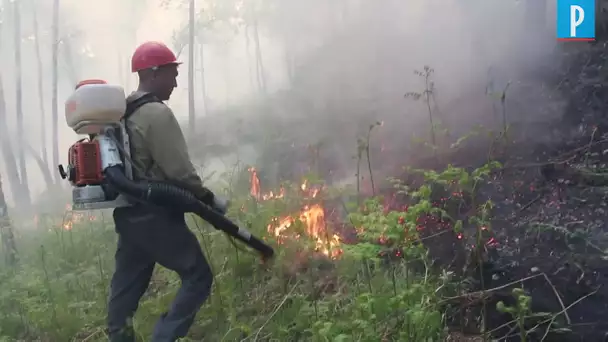 La Sibérie ravagée par de gigantesques incendies