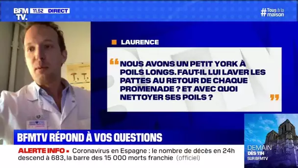 Les sprays aux huiles essentielles sont-ils efficaces? BFMTV répond à vos questions