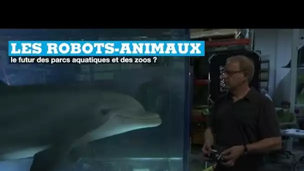 Les robots-animaux, le futur des parcs aquatiques et des zoos ?