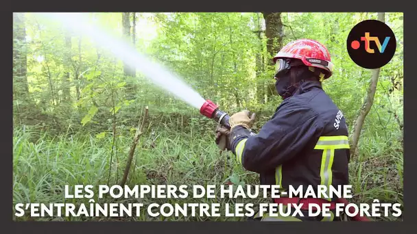 Les pompiers de Haute-Marne s'entraînent à lutter contre les feux de forêt