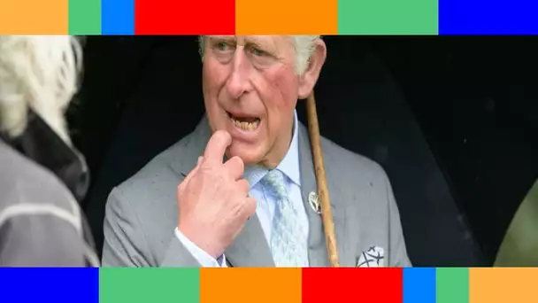 Le prince Charles « ennuyeux »  Donald Trump lui décoche une flèche