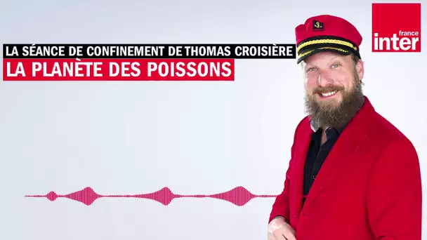 La planète des poissons - La séance de confinement de Thomas Croisière