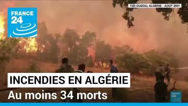 Incendies en Algérie : au moins 34 morts et de nombreux dégâts • FRANCE 24