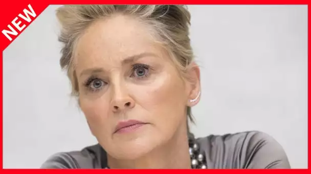 ✅  Sharon Stone inquiète pour sa sœur malade, elle lance un cri du coeur