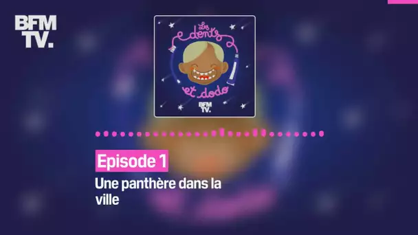 Episode 1 : Une panthère dans la ville