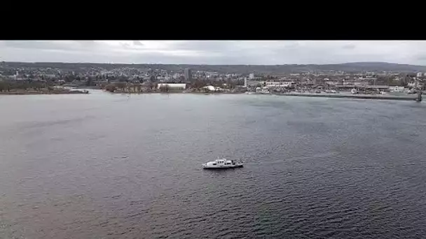 Espèces invasives dans le lac de Constance : "Une catastrophe pour l'écosystème"