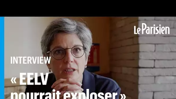 Sandrine Rousseau : «Chez EELV, c’est tellement tendu que ça pourrait exploser»