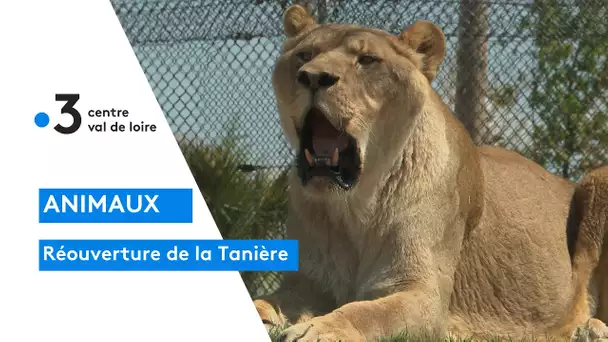 Nogent-Le-Phaye : réouverture du Zoo-refuge de la Tanière en Eure-et-Loir