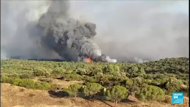 Incendies dans le Var : un personne décédée • FRANCE 24