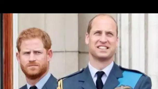 Le prince Harry s.nobé : William invité à voir la reine mère sans son jeune frère