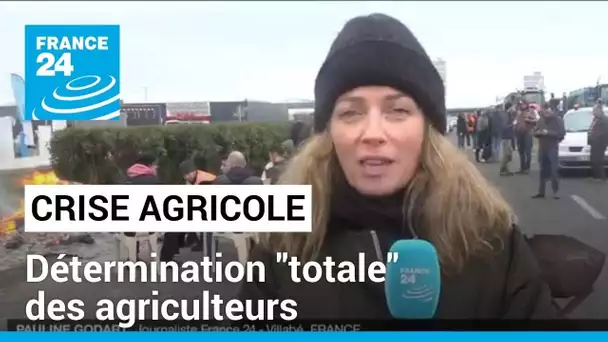 Crise agricole : une détermination "totale" des agriculteurs français • FRANCE 24